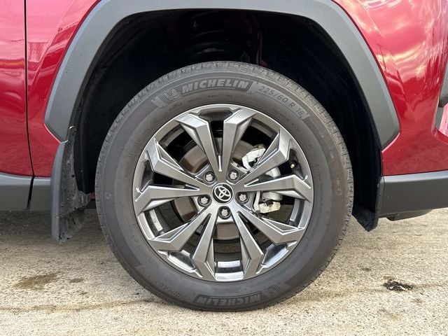 2025 Toyota RAV4 Hybrid XLE Premium